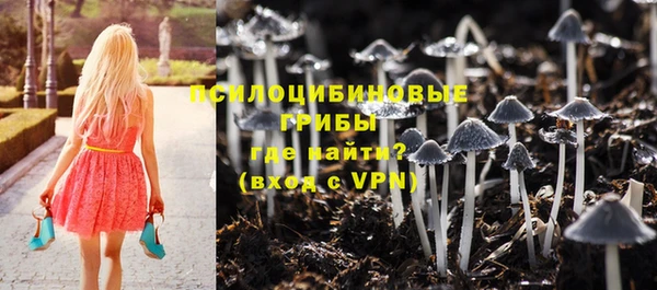 экстази Богданович